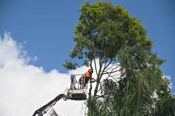 Soil Testing and Treatment in Hudson Oaks, TX